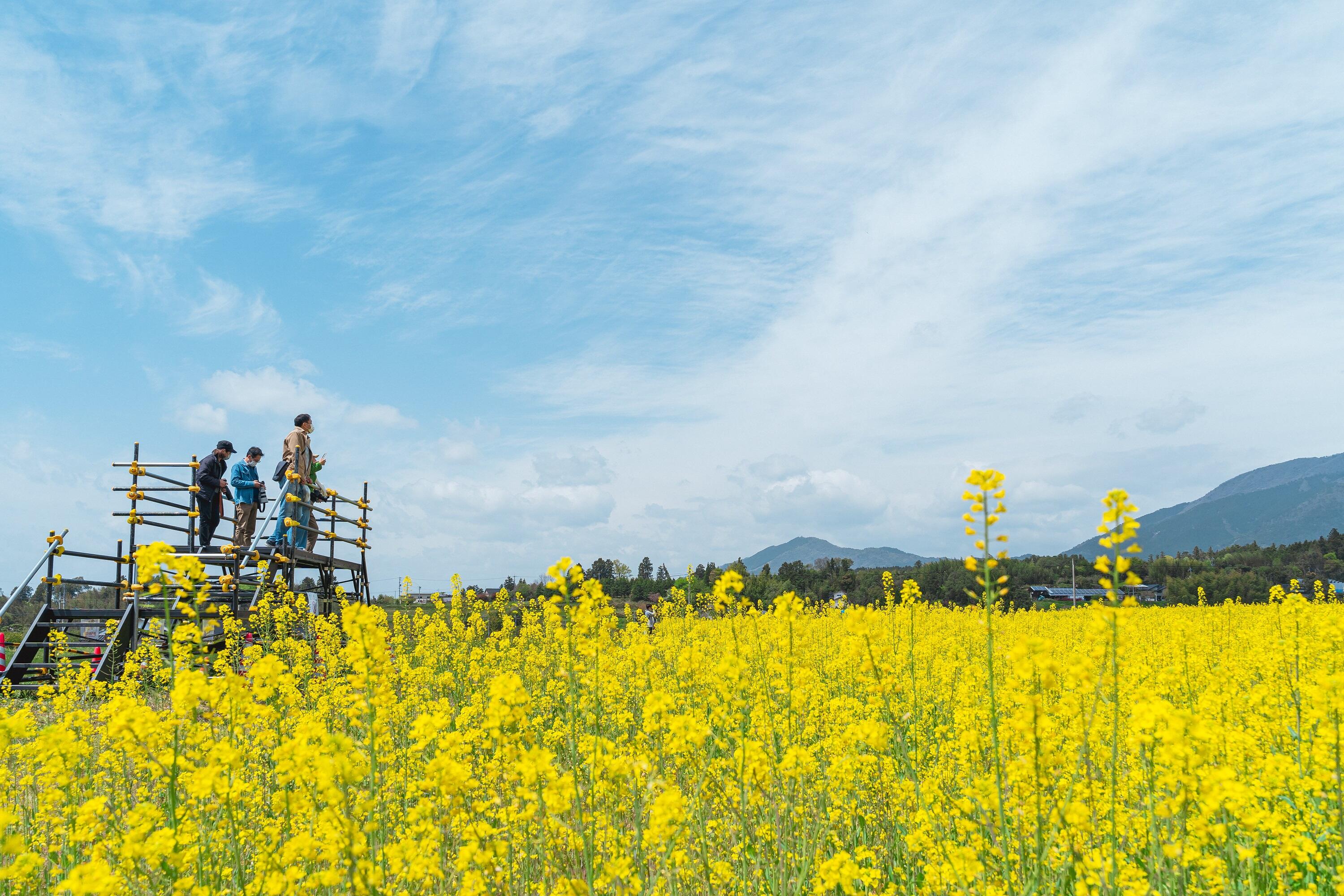 県内コワーキングスペース紹介