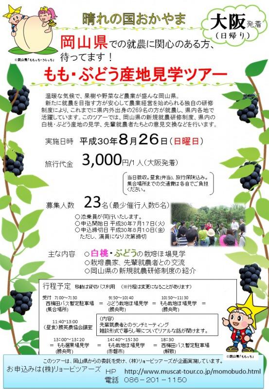 2018年8月26日「もも・ぶどう産地見学ツアー」ちらし.JPG