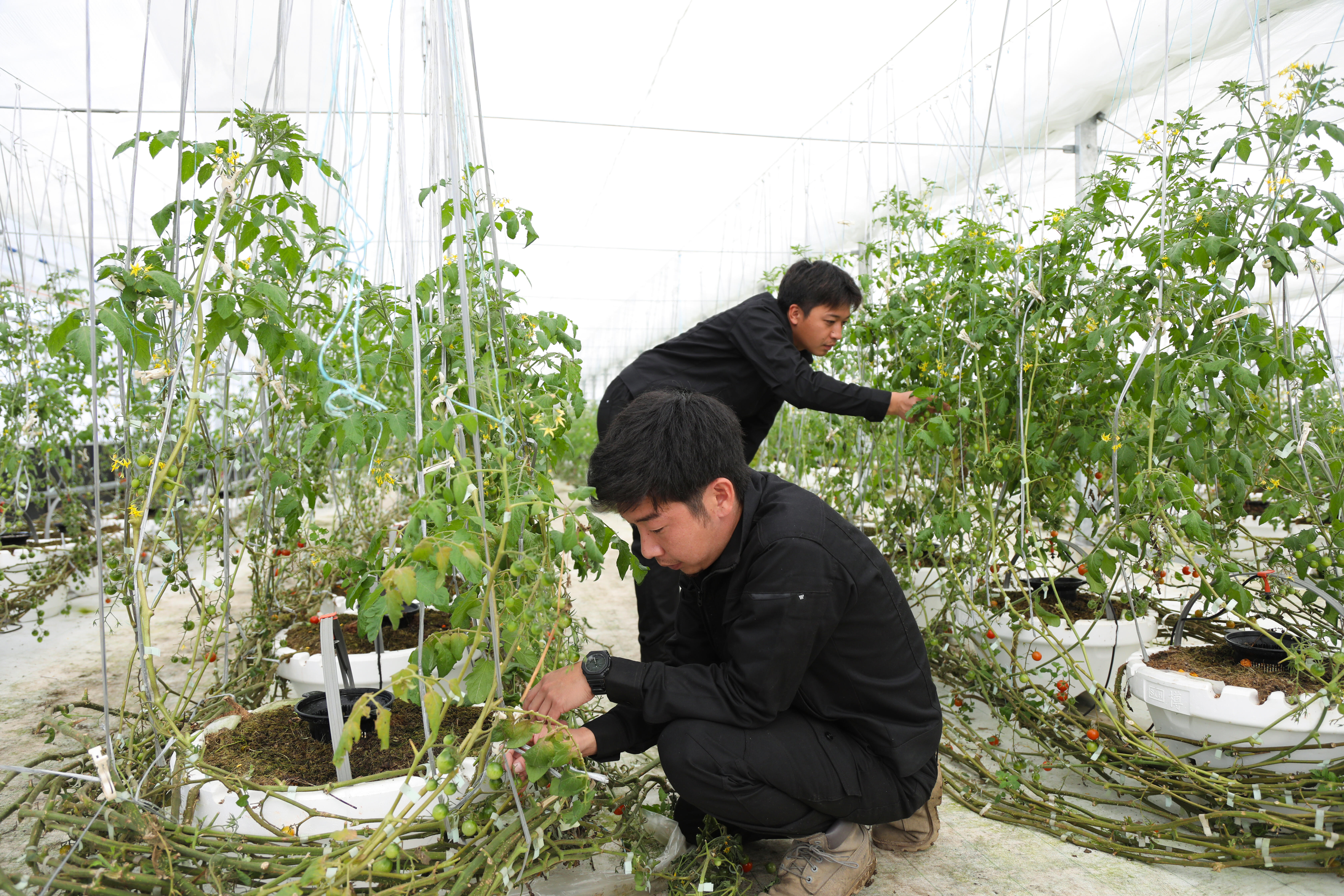 お試し住宅との出会いから始まった夢