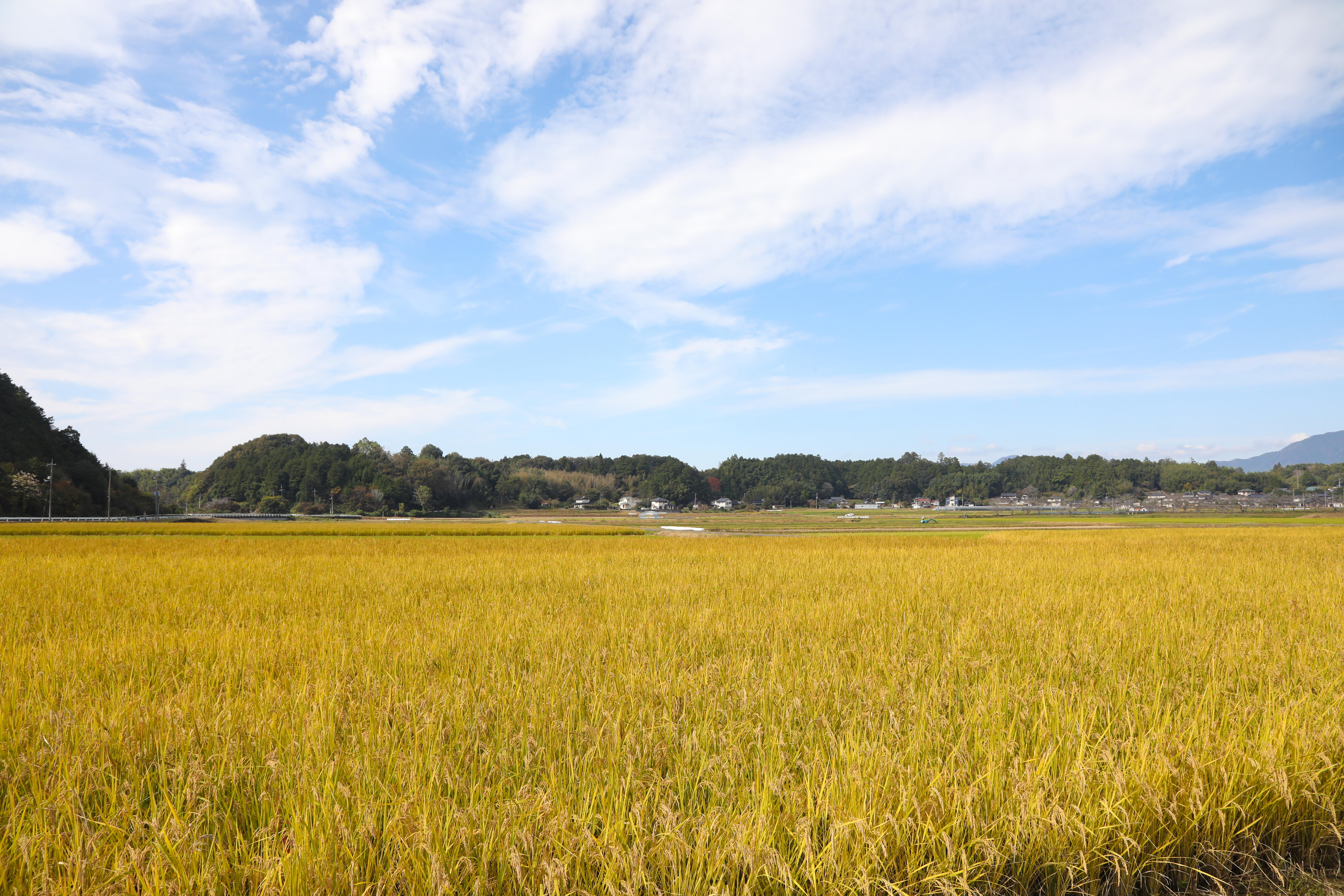 地域の支えがなかったら、きっと農業はできていません