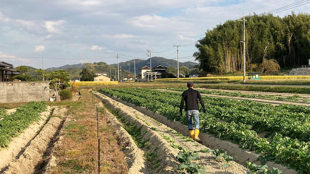 趣味は「農業」です！