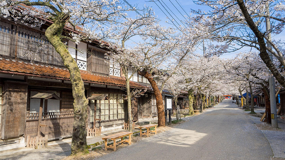 「日本で最も美しい村」の一番の魅力は”人”