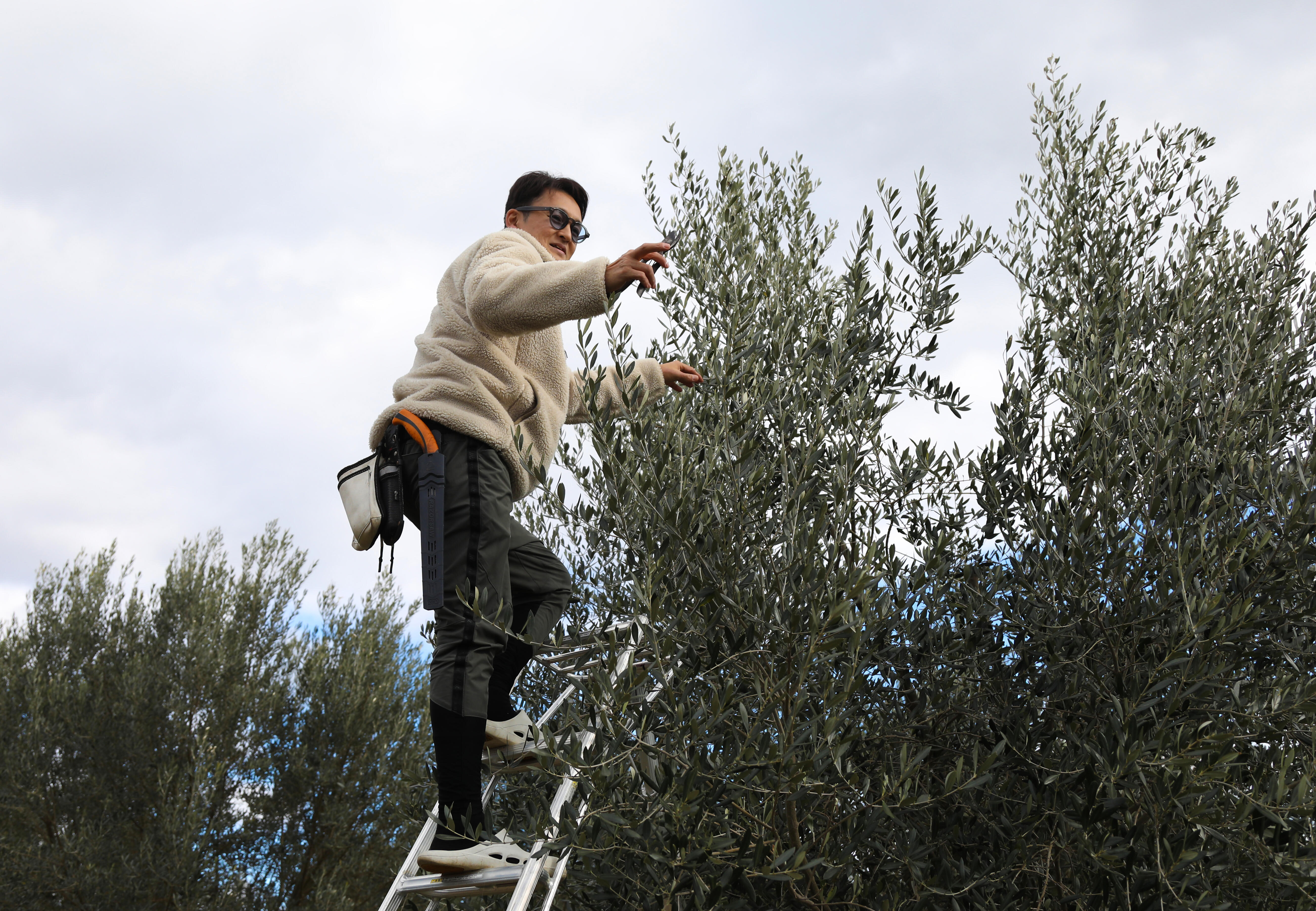 地域とのつながりを島の活力に