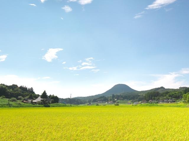 新見市