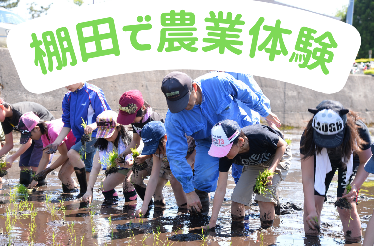 歴史ある棚田で田植え体験!(5/6締切)