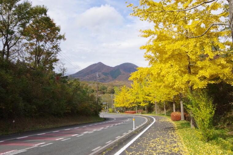 地元高校生による蒜山PR動画『秋の蒜山ハッシュタグ』