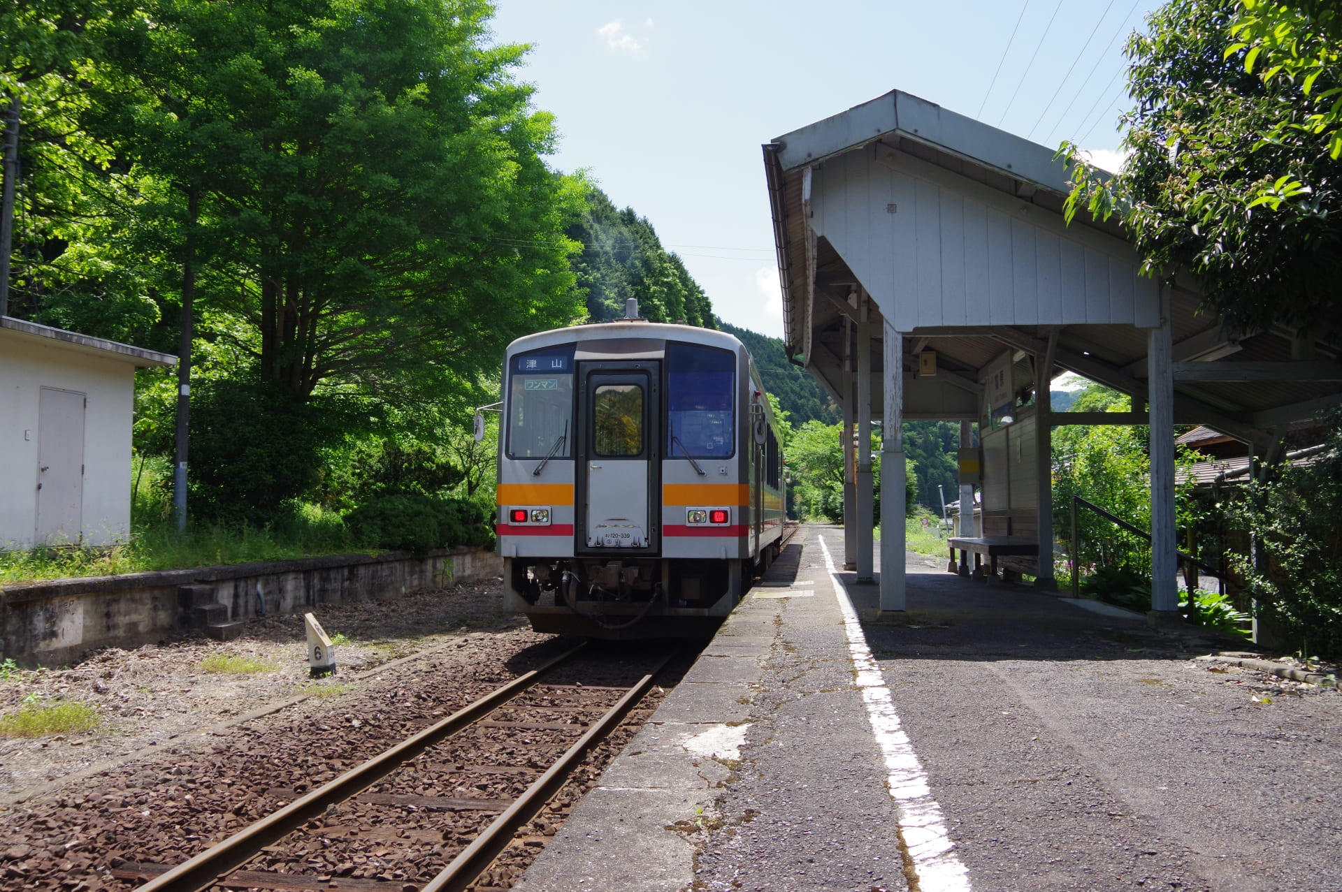 24405651_m.jpg